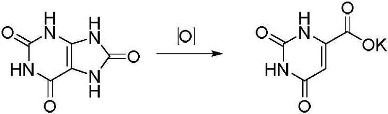 Oxidative ring opening of Uric Acid using Permanganate or Peroxide