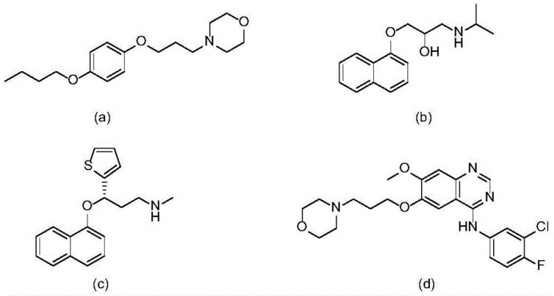 Structural formulas of key pharmaceutical drugs like Pramocaine and Propranolol that utilize oxaallylamine intermediates