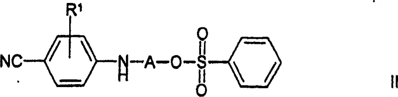 General reaction scheme showing Formula II reacting with Formula III to produce Formula I benzenesulfonate salt