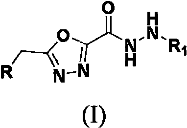 General chemical structure of oxadiazole hydrazide compounds showing variable R and R1 groups