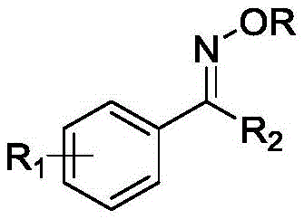 General chemical structure of the synthesized oxime ether showing the core C-O bond formation