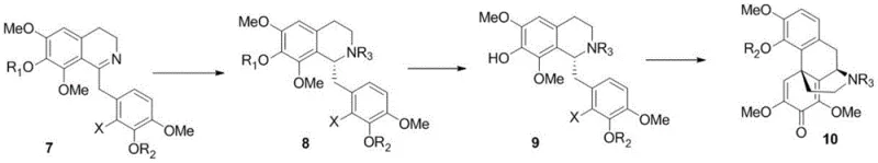 Synthetic route showing asymmetric hydrogenation and Heck reaction to form intermediate 10