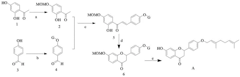 Overall synthetic route for oxygen-substituted geranyl flavanone showing six steps from raw materials to final product