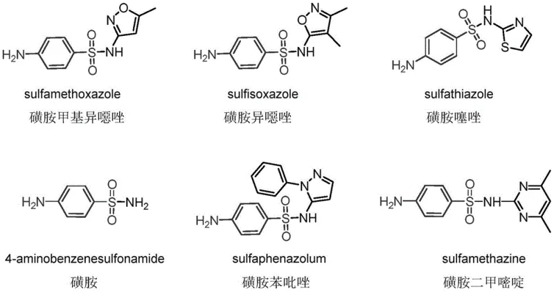 Downstream sulfonamide applications including sulfamethoxazole and sulfathiazole derived from the intermediate