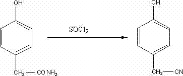 Reaction scheme showing the dehydration of p-hydroxyphenylacetamide to p-hydroxyphenylacetonitrile using thionyl chloride