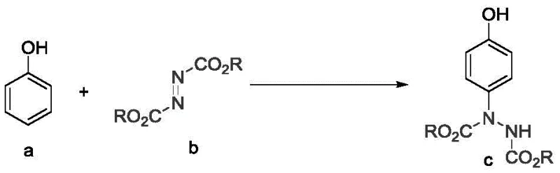 General reaction scheme for silver-catalyzed para-C-H amination of phenols with azodicarboxylates