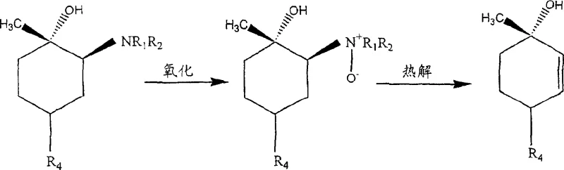 General reaction scheme showing amine adduct formation, oxidation to N-oxide, and pyrolysis to final product