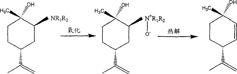 Stereochemical details of cis and trans limonene oxide reaction with amines showing major and minor products