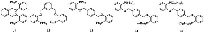 Chemical structures of P,O-hybrid ligands L1-L5 synthesized via the novel catalytic route