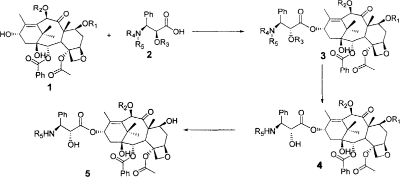 Overall reaction scheme showing condensation and deprotection steps to Paclitaxel and Docetaxel