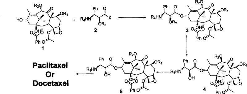 General reaction scheme showing the semi-synthesis of Paclitaxel and Docetaxel via condensation, deprotection, and stereochemical inversion