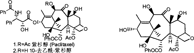 Chemical structures of Paclitaxel and 10-Deacetylbaccatin III showing key hydroxyl positions
