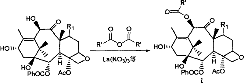 Reaction scheme showing selective acylation of 10-DAB to Baccatin III using metal nitrate catalyst