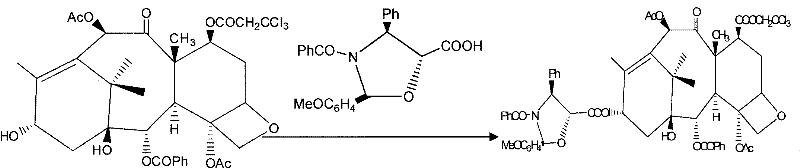Overall reaction scheme showing the novel semi-synthesis route from protected Baccatin III to Paclitaxel