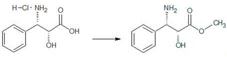 Esterification of (2R,3S)-3-phenylisoserine hydrochloride to methyl ester using thionyl chloride and methanol