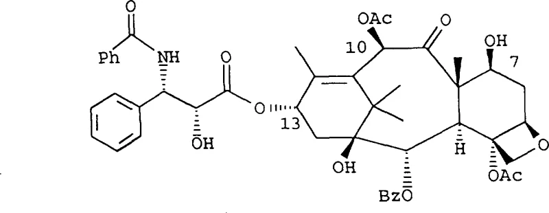 Chemical structure of Paclitaxel showing the C-13 side chain attachment point