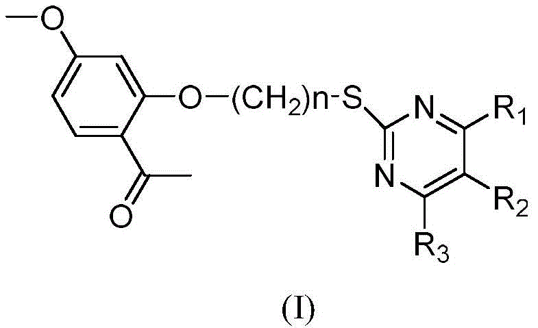 General chemical structure of paeonol dihydropyrimidinone derivatives showing variable R groups