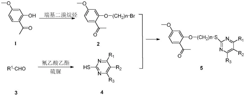 Overall synthetic reaction scheme showing the three-step preparation of paeonol dihydropyrimidinone derivatives