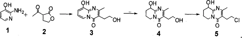 Reaction scheme showing the three-step synthesis of paliperidone intermediate via cyclization, hydrogenation, and chlorination