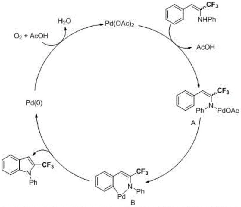 Catalytic cycle mechanism showing Pd coordination, cyclization, and re-oxidation by oxygen
