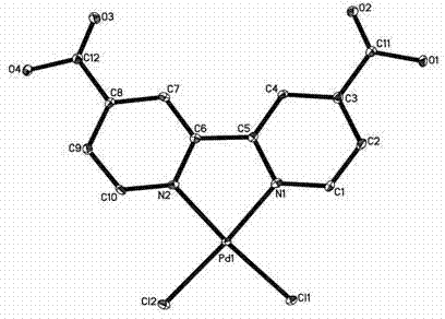 Molecular structure of Palladium Coordination Compound [PdLCl2] showing square planar geometry