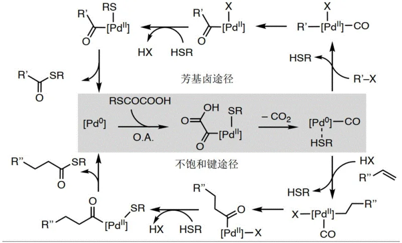 Proposed catalytic mechanism for palladium-catalyzed decarboxylative thioesterification
