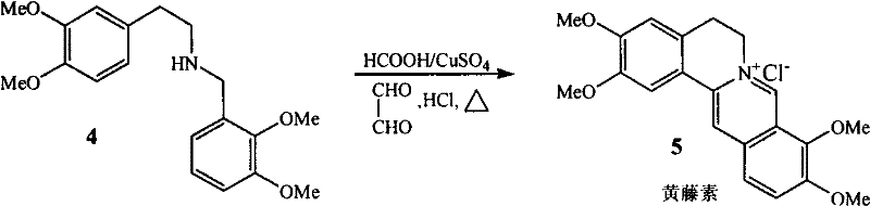 Final cyclization step converting the secondary amine to Palmatine Chloride using glyoxal and catalyst