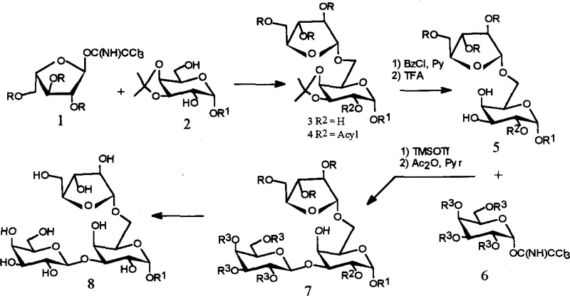 Synthesis route of Panax notoginseng trisaccharide fragment showing key glycosylation steps and protecting group manipulations