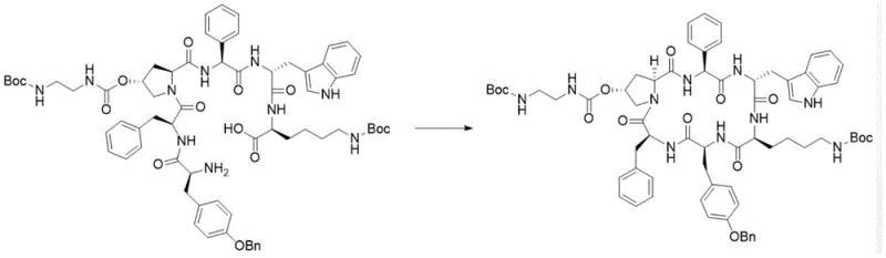 Reaction scheme showing the intramolecular cyclization of Intermediate II to form the cyclic peptide Intermediate III