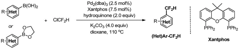 General Procedure A schematic detailing reaction conditions including Pd2(dba)3, Xantphos, and K2CO3 in dioxane