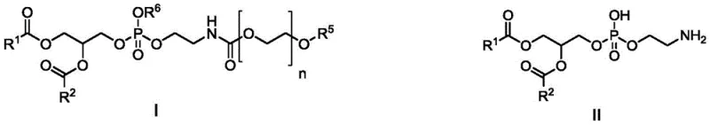 General structures of phosphatidylethanolamine and PEG derivatives