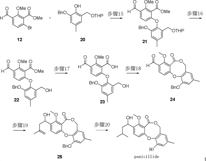 Coupling of fragments and final cyclization to Penicillide racemate
