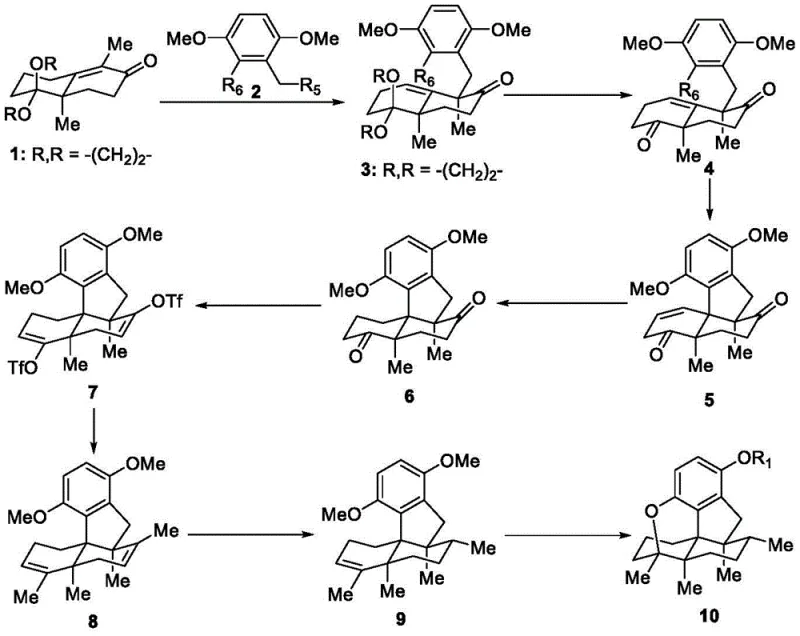 Overall synthetic route from Wieland-Miescher ketone derivative to pentacyclic sesquiterpene hydroquinone