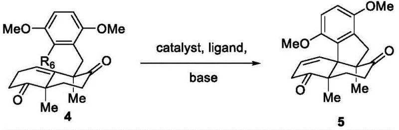 Palladium-catalyzed intramolecular cyclization step forming the tetracyclic core