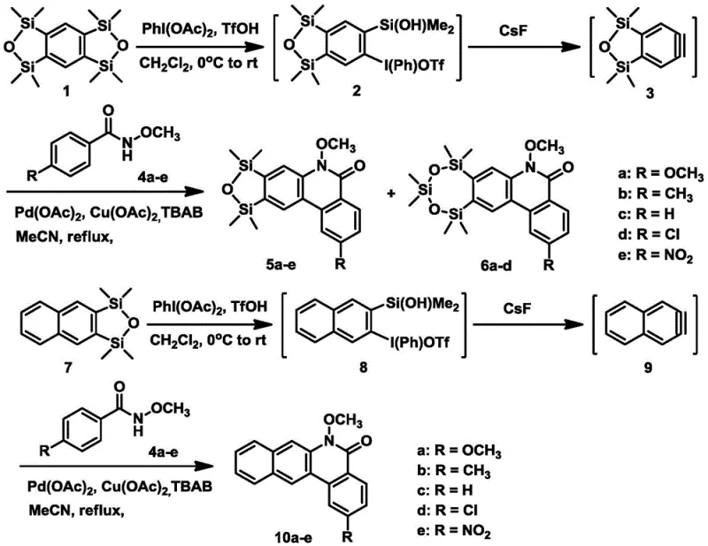 General reaction scheme showing the synthesis of phenanthridinone and benzophenanthridinone derivatives via benzyne and naphthyne intermediates