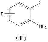 General structure of o-halogenated aniline substrate (II) showing variable R and X groups
