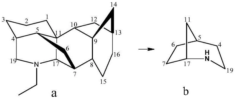 Structural comparison showing the simplification from toxic Aconitine mother nucleus to the safer 2-azabicyclo[3.2.1]octane scaffold