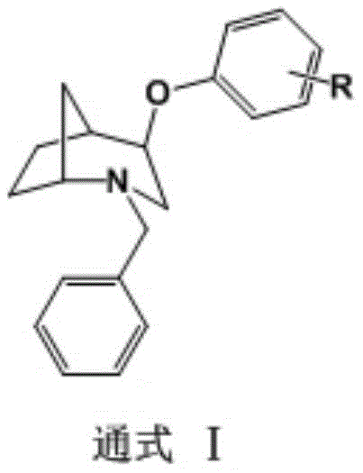 General structural formula I of the substituted phenoxy-2-azabicyclo[3.2.1]octane compounds showing variable R groups
