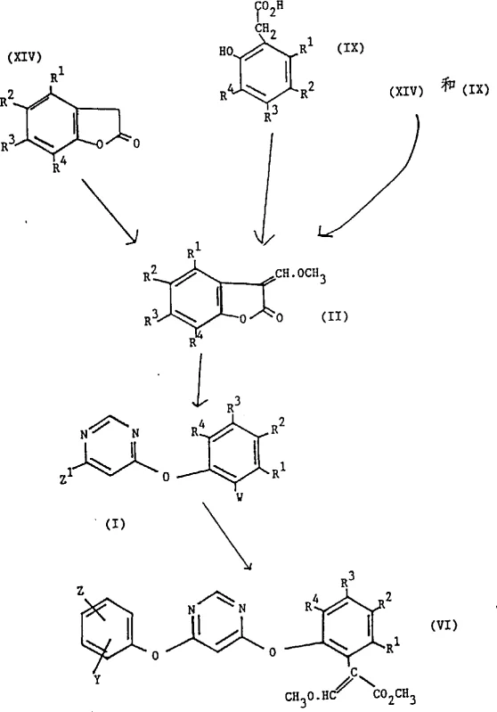 Reaction Formula I showing the full synthesis pathway from benzofuranone to phenoxypyrimidine