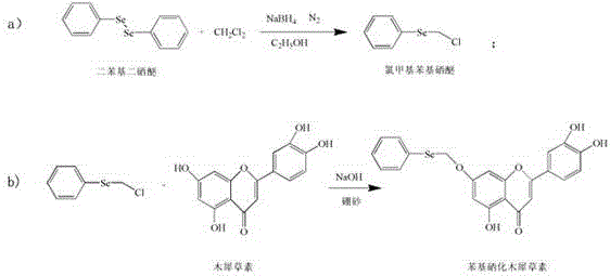 Reaction scheme for the synthesis of phenyl luteolin selenide showing the two-step process involving chloromethyl phenyl selenide intermediate