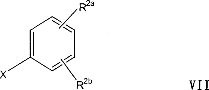 Formula VII Grignard reagent precursor for the novel synthesis route