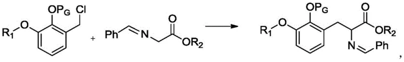 General alkylation reaction scheme showing alkylating agent reacting with Schiff base to form alkylated Schiff base