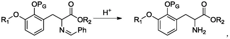 Hydrolysis reaction scheme converting alkylated Schiff base to phenylalanine ester