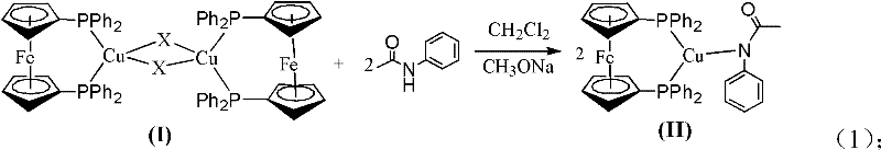 Formation of Copper-Dppf complex and subsequent interaction with amide substrate