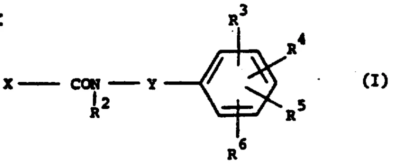 General Formula I of Phenylbutenamide Derivatives showing heterocyclic linker Y and substituents R1-R6