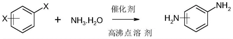 General reaction equation showing direct ammonolysis of dihalobenzene to phenylenediamine using Schiff base catalyst