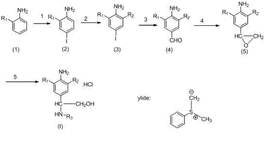Novel 5-step synthetic route involving iodination, halogenation, Pd-catalyzed formylation, epoxidation, and amine ring-opening