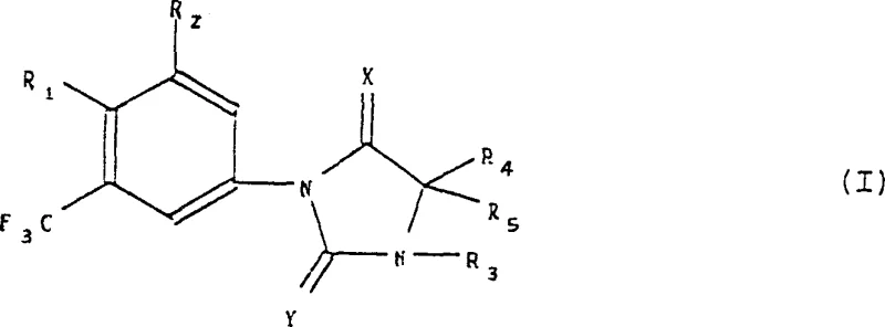 General chemical structure of Formula (I) phenylimidazolidine derivatives showing variable substituents R1, R2, R3, R4, R5 and heteroatoms X, Y