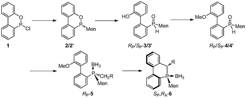 Synthesis route from CDOP to cyclic 9-menthyl dihydrophosphaphenanthrene compounds