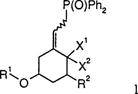 General chemical structure of the phosphine oxide vitamin D precursor Formula 1 showing variable substituents